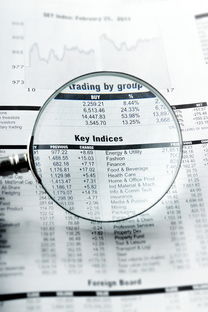 怀柔同志供卵选性别：nt值偏高风险大吗下一步检查什么？